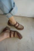 Guillerminas Coraline Beige en internet