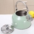 Chaleira Em Inox Com Aviso Sonoro Moderna Capacidade 3 Litros Cor Verde - papico.com.br | Papico Sua Loja De Departamentos | entrega no mesmo dia