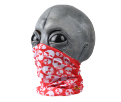Bandana Oxford Calaveras Rojo - comprar en línea