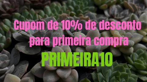 Imagem do banner rotativo Suculindas da Ioiô