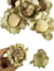 40 Forminhas para Doces Finos Bali Off White com Borda Dourada Metalizada