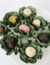 40 Forminhas Nina Para Doces Finos Verde Pistache Escuro Festa Casamento - comprar online