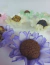 40 Forminhas para Doces Finos Allure Candy Tons Pastel Fofo Forma para Brigadeiro Festa Decoração - Labat  Macarons e Confeitaria
