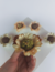 Imagem do 40 Forminhas Forma para Doces Finos Allure Tons Terrosos Elegante Casamentos Festas Decoração Mesa
