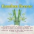 Vela Bamboo Breeze - Bamboo na internet