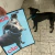 Poster A3 - PERIGO CÃO CHICO na internet