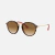RAY BAN SCUDERIA FERRARI COLLECTION - ROUND FLECK 2447 en internet