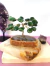 ARVORE DE QUARTZO VERDE 11CM - SAÚDE E CURA - comprar online