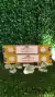 INCENSO NAG CHAMPA TREE OF LIFE SATYA - AUMENTA CRIATIVIDADE E ATIVIDADE