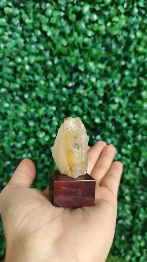 CITRINO NA BASE DE MADEIRA - PROSPERIDADE