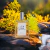 Inspirado em Bulgari Pour Homme 100ml - loja online