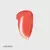 Blush Flush Balm Cor: Lusitano MERIT - loja online