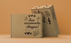 Caixa Sedex 0H (23x15x06) - Encomenda chegou! - 25 und