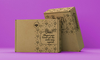 Caixa Sedex 0H (23x15x06) - Uau! - 25 und