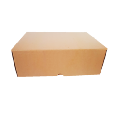 Caixa Sedex 3 (33x24x12) - 25 und - comprar online