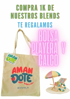 4 Estaciones - RENDIMIENTO 48 LITROS 1K - BOLSO PLAYERO + CALCO DE REGALO - comprar online