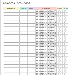 Planner Controle Financeiro (não datado) - comprar online