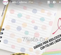 caderno diario 150 folhas ou 300 páginas