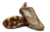 Imagem do Chuteira Adidas F50 X Campo - Marrom/Branco