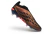Chuteira Adidas Predator Laceless 26 Elite FG - Marrom - Marca Esportiva - Loja Especializada em Chuteiras 