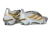 Chuteira Adidas Predator Tongue 26 Elite FG - Prata na internet