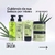 Kit Banho Completo Labotrat de Capim Limão Rosto e Corpo Linha Dia a Dia (5 Itens)