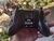 Controles Xbox 360 Original Black 100% Funcional c/Garantia + Capa Case de Silicone - Testado antes do envio + Brinde Especial - comprar online