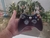 Controle Xbox 360 Preto/Cinza Original 100% Funcional + Garantia - Testado 2b - ShopRetro - Sua Loja Retro Games!