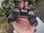 Controle Manete Computador Leadership Gamer Joypad Usb 3652 na internet