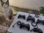 Lote de controles para Ps3/ Mega Driver 6 botões e PC para concerto ou retirada de peças