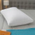 ALMOHADA ZAFIRO FIRME en internet