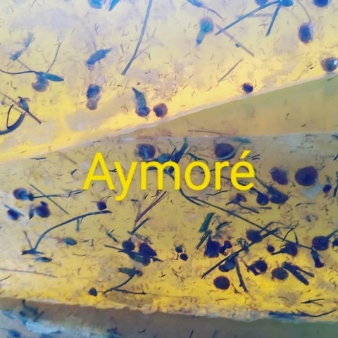 Sabonete Glicerinado Ervas em Barra Aymoré - 1kg - comprar online