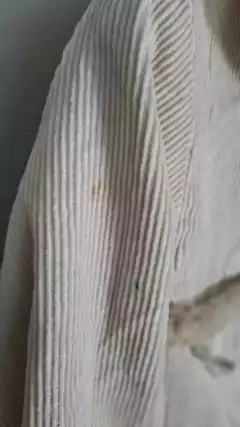 OUTLET .Campera corderoy natural con corderito. Talle de adulto. en internet