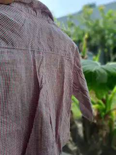 Camisa ML cuadrillé rojo y gris - CHEEKY - Talle L en internet