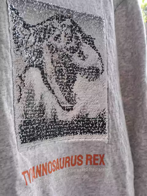 10A | OUTLET - Buzo canguro gris c lentejuelas "Tyrannosaurius Rex" - H&M - Talle 10 años - comprar online