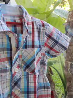 12M | Camisa MC a cuadros celeste y rojo - NUEVEOCHOCUATRO - Talle 12 meses en internet