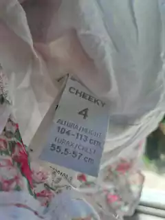 4A | Blusa de gasa transparente de flores rosas, forrada - CHEEKY - Talle 4 años - comprar online