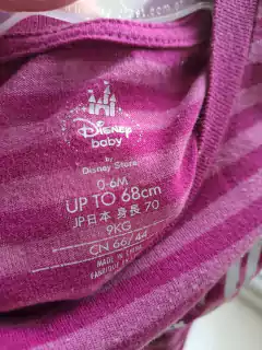 0/6M | Outle- Remera MC a rayas violeta y lila "Chicago" - DISNEY BABY - Talle 0 a 6 meses - comprar online