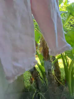 0/3M | Pantalón de algodón finito, voladitos abajo - GAP - Talle 0a3 meses en internet