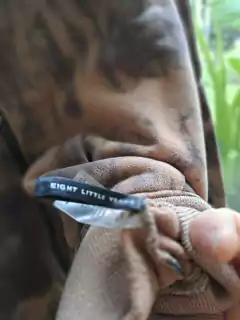 Buzo camuflado en marrones, interior capucha turquesa y letras atras-LITTLE AKIABARA -Talle 8 años - comprar online