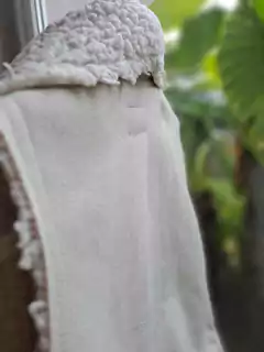 Chaleco de gamuza beige clarito c corderito blanco - MIMO - Talle 6 años - Lo Canto • Moda Circular