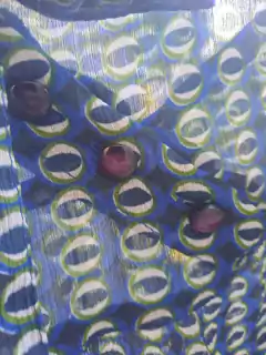 Imagen de Camisa transparente MC c circulos en azul y amarillo, con botones hombro y moño - ZARA - Talle M