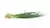 SEMENTES DE CEBOLINHA IBIRITÉ HORTICERES - 100g na internet