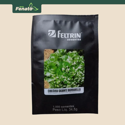 Sementes de Chicória Gigante Barbarella Feltrin - 1.000 sementes - comprar online