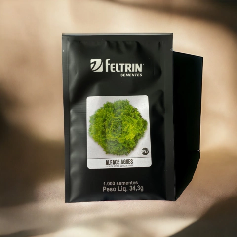 Sementes de Alface Frisê Agnes Feltrin - 1.000 sementes