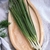 Sementes de Cebolinha Todo Ano Evergreen Feltrin - 50g - comprar online