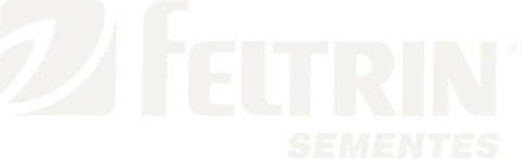 Marca 1 de Horta Fenato