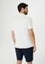 CAMISA POLO MASCULINA - HERING na internet