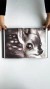 Imagen de Bambi una vida en el bosque