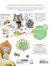 The ultimate book of animals - Pop-up - Immediate stock! - buy online